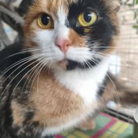 Prada se trouve dans un refuge en ukraine #2