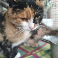 Prada se trouve dans un refuge en ukraine #3