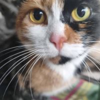 Prada se trouve dans un refuge en ukraine