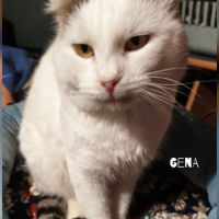 Gena se trouve dans un refuge en ukraine #1