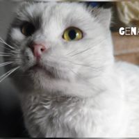 Gena se trouve dans un refuge en ukraine #2