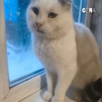 Gena se trouve dans un refuge en ukraine