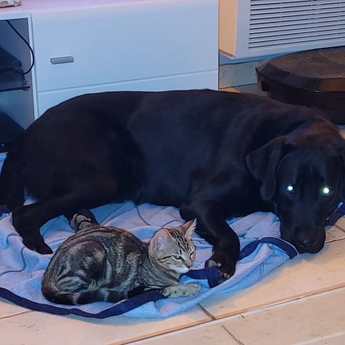 Qui m'aime me suive ! #1