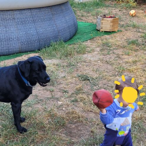 Qui m'aime me suive ! #2