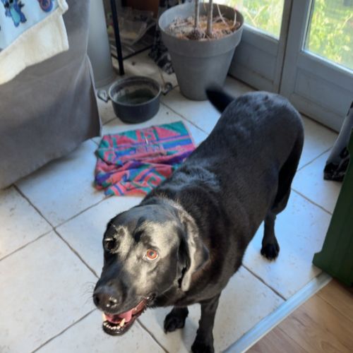 Qui m'aime me suive ! #0