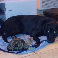 Qui m'aime me suive ! #1