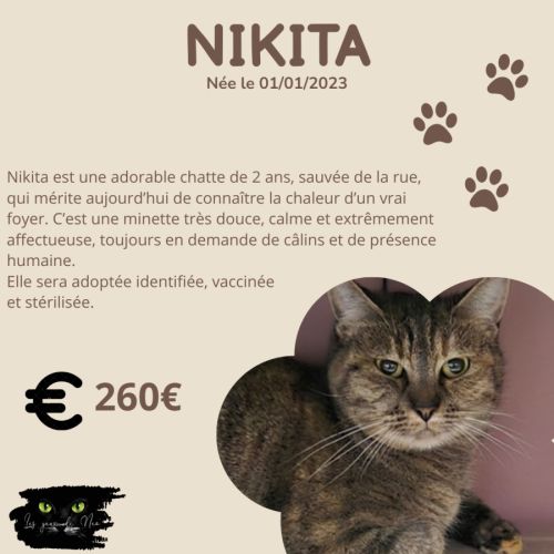 Nikita est à adopter #1