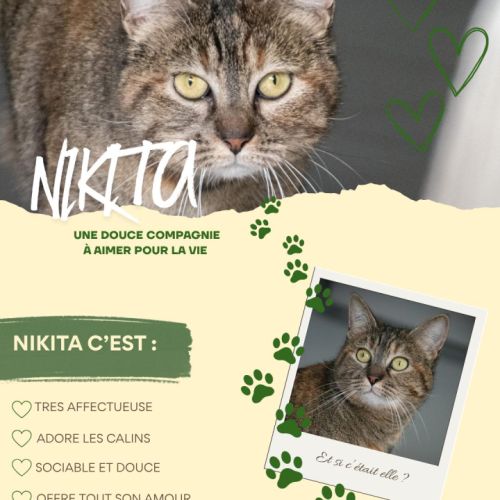 Nikita est à adopter #8