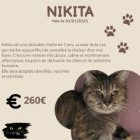 Nikita est à adopter #1