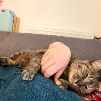 Nikita est à adopter #3