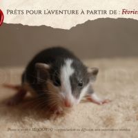 Nos adorables explorateurs vous attendent #3