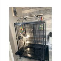 Cage avec perroquet de jardines