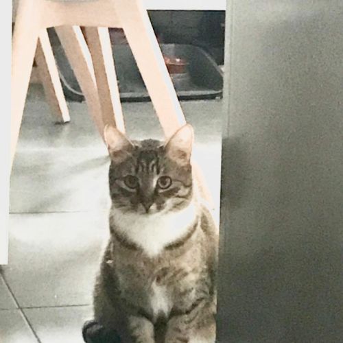 Olympe-junior craintive