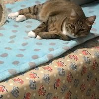 Olympe-junior craintive #5