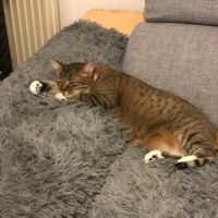 Olympe-junior craintive #6