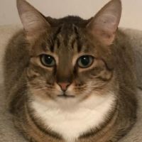 Olympe-junior craintive #9