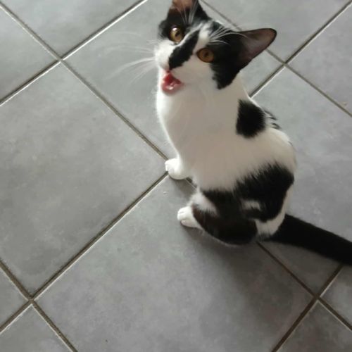 Leeloo, le 5ème élément #0