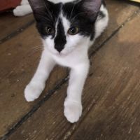 Leeloo, le 5ème élément #1