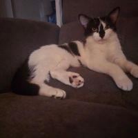 Leeloo, le 5ème élément #4