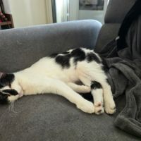 Leeloo, le 5ème élément #5