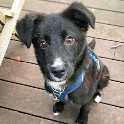 Noa attend sa famille pour la vie