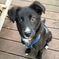 Noa attend sa famille pour la vie #0