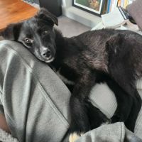 Noa attend sa famille pour la vie #2