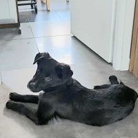 Noa attend sa famille pour la vie #3