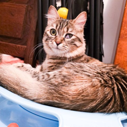 Izette, petite battante au grand cœur #2