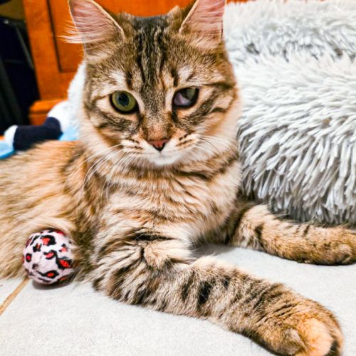 Izette, petite battante au grand cœur #0