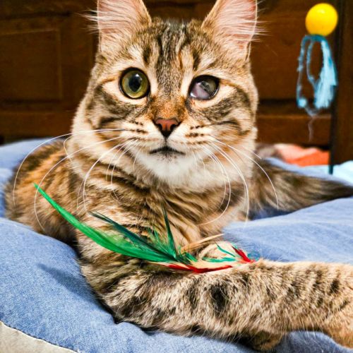 Izette, petite battante au grand cœur #5