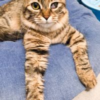 Izette, petite battante au grand cœur #1