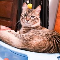 Izette, petite battante au grand cœur #2