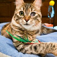 Izette, petite battante au grand cœur #5