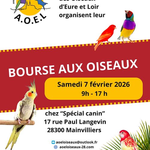 Bourse aux oiseaux