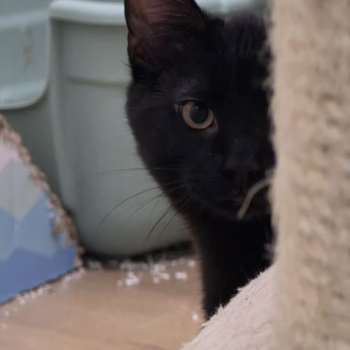 Eliott-petit dragon à dompter ! #3