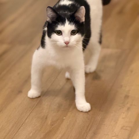 Florentin-junior touchant #0