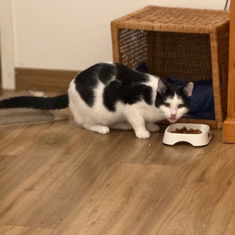 Florentin-junior touchant #6