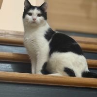 Florentin-junior touchant #2