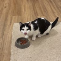 Florentin-junior touchant #4