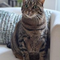 Oliver : colocataire en or cherche sa famille #2