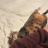 Oliver : colocataire en or cherche sa famille #4