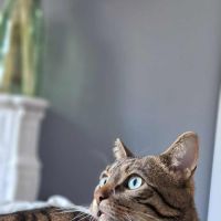 Oliver : colocataire en or cherche sa famille #5