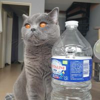 Yuki beauté au flegme anglais #3