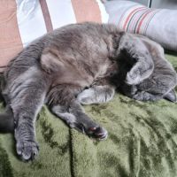 Yuki beauté au flegme anglais #5