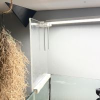 Couple de pelusios castaneus + installation #5