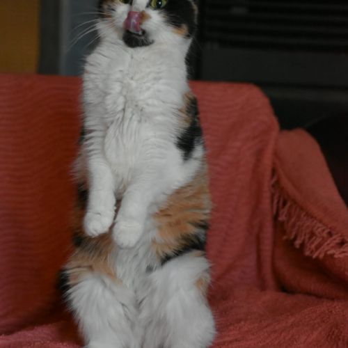 Badiane-junior touchante #1