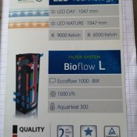 Cichlidées tanganika #4