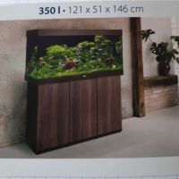 Cichlidées tanganika #5