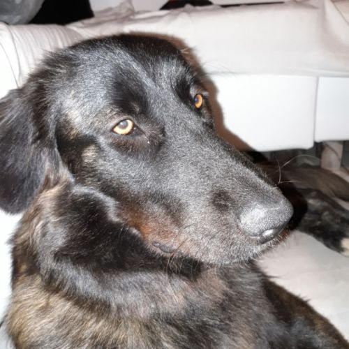 Donne puchka contre bons soins